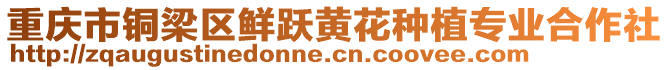 重慶市銅梁區(qū)鮮躍黃花種植專業(yè)合作社