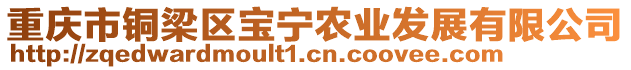 重慶市銅梁區寶寧農業發展有限公司