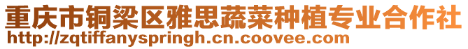 重慶市銅梁區雅思蔬菜種植專業合作社