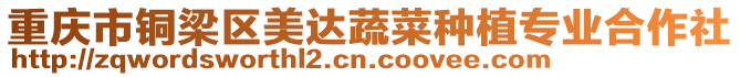 重慶市銅梁區(qū)美達(dá)蔬菜種植專業(yè)合作社