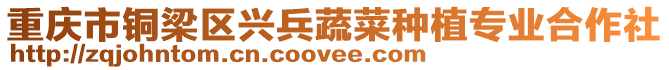 重慶市銅梁區(qū)興兵蔬菜種植專業(yè)合作社