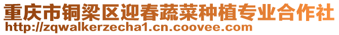 重慶市銅梁區(qū)迎春蔬菜種植專業(yè)合作社