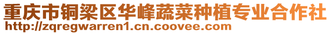 重慶市銅梁區華峰蔬菜種植專業合作社