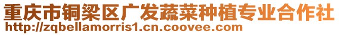 重慶市銅梁區廣發蔬菜種植專業合作社