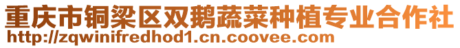 重慶市銅梁區雙鵝蔬菜種植專業合作社
