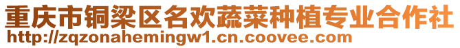 重慶市銅梁區(qū)名歡蔬菜種植專業(yè)合作社