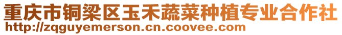 重慶市銅梁區玉禾蔬菜種植專業合作社