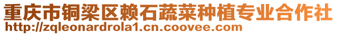重慶市銅梁區(qū)賴石蔬菜種植專業(yè)合作社