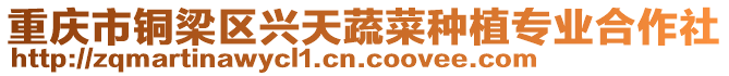 重慶市銅梁區興天蔬菜種植專業合作社