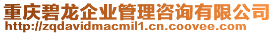 重慶碧龍企業管理咨詢有限公司