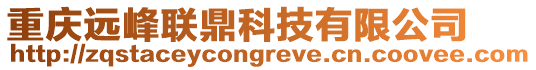 重慶遠峰聯鼎科技有限公司