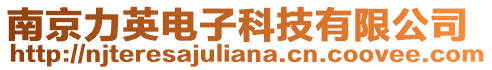 南京力英電子科技有限公司