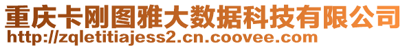 重慶卡剛圖雅大數據科技有限公司