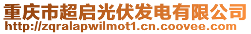 重慶市超啟光伏發電有限公司