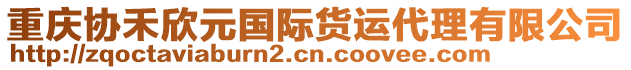 重庆协禾欣元国际货运代理有限公司