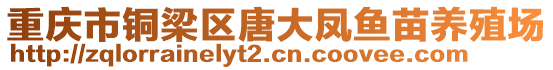 重慶市銅梁區(qū)唐大鳳魚(yú)苗養(yǎng)殖場(chǎng)