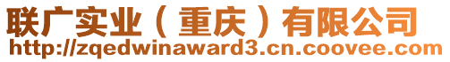 聯廣實業(重慶)有限公司