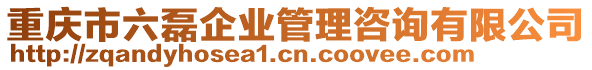 重慶市六磊企業(yè)管理咨詢有限公司