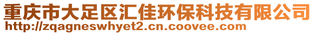 重慶市大足區匯佳環保科技有限公司