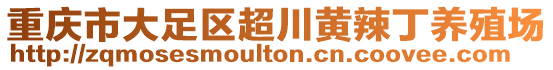 重慶市大足區(qū)超川黃辣丁養(yǎng)殖場