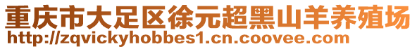 重慶市大足區(qū)徐元超黑山羊養(yǎng)殖場(chǎng)