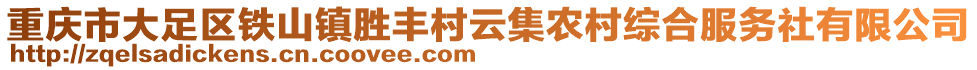 重慶市大足區(qū)鐵山鎮(zhèn)勝豐村云集農(nóng)村綜合服務(wù)社有限公司