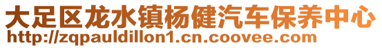 大足區(qū)龍水鎮(zhèn)楊健汽車保養(yǎng)中心