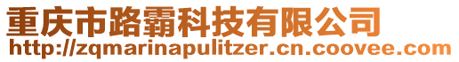 重慶市路霸科技有限公司