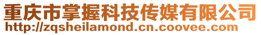 重慶市掌握科技傳媒有限公司