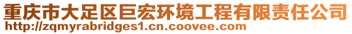 重慶市大足區(qū)巨宏環(huán)境工程有限責(zé)任公司