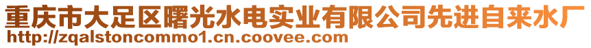 重慶市大足區(qū)曙光水電實(shí)業(yè)有限公司先進(jìn)自來(lái)水廠