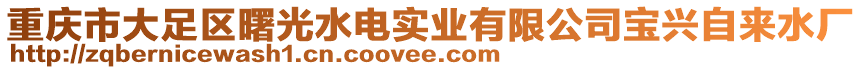 重慶市大足區(qū)曙光水電實(shí)業(yè)有限公司寶興自來水廠