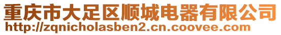 重慶市大足區(qū)順城電器有限公司