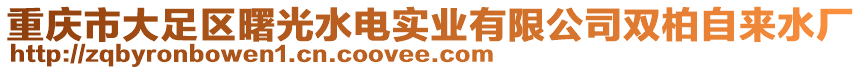 重慶市大足區(qū)曙光水電實(shí)業(yè)有限公司雙柏自來水廠