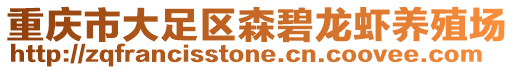 重慶市大足區(qū)森碧龍蝦養(yǎng)殖場