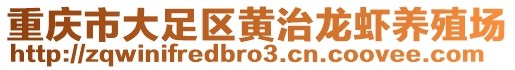 重慶市大足區黃治龍蝦養殖場
