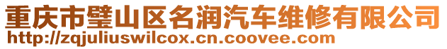 重慶市璧山區(qū)名潤(rùn)汽車維修有限公司