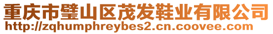 重慶市璧山區(qū)茂發(fā)鞋業(yè)有限公司