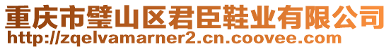 重慶市璧山區(qū)君臣鞋業(yè)有限公司