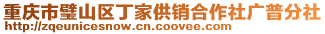 重慶市璧山區(qū)丁家供銷合作社廣普分社