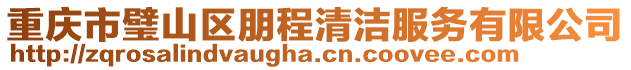 重慶市璧山區朋程清潔服務有限公司