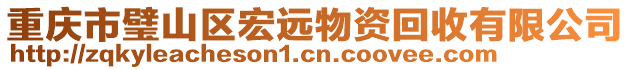 重慶市璧山區(qū)宏遠物資回收有限公司