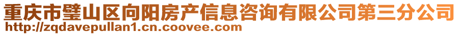 重慶市璧山區(qū)向陽房產(chǎn)信息咨詢有限公司第三分公司