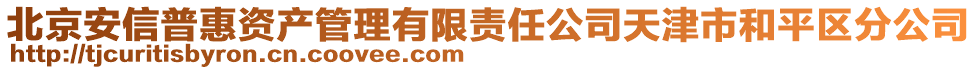 北京安信普惠資產(chǎn)管理有限責(zé)任公司天津市和平區(qū)分公司