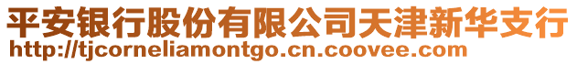 平安銀行股份有限公司天津新華支行