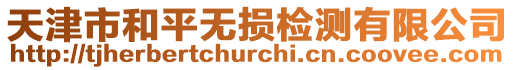 天津市和平無損檢測有限公司