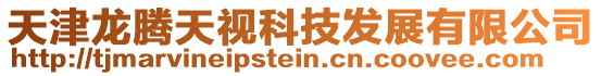 天津龍騰天視科技發展有限公司