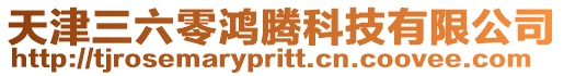 天津三六零鴻騰科技有限公司