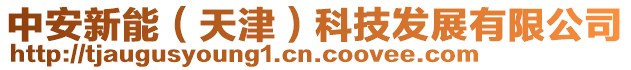 中安新能（天津）科技發(fā)展有限公司