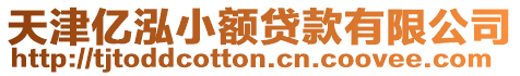 天津億泓小額貸款有限公司